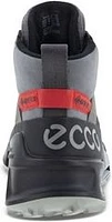 Biom 2.1 X Mountain Black/Steel