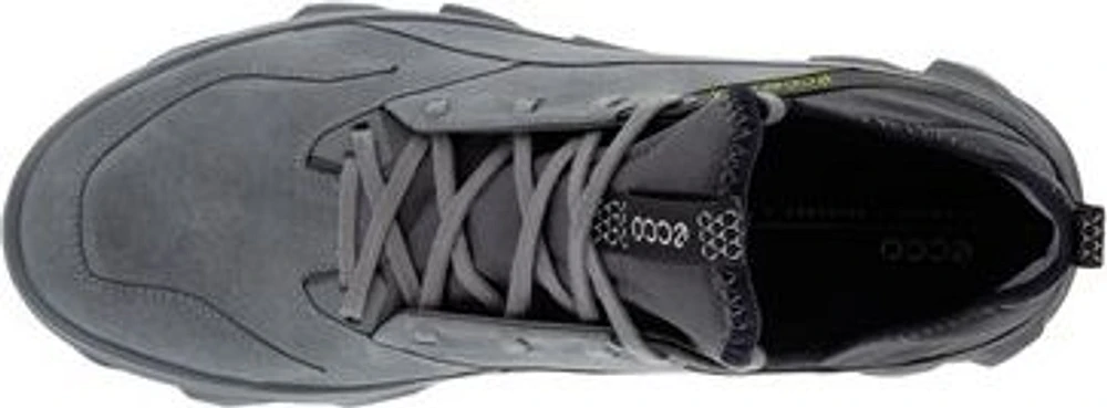 MX Titanium