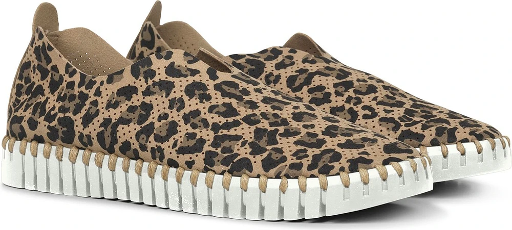 Tulip139 Leopard