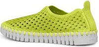 Tulip139 Lime