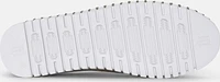 Tulip147 Falcon