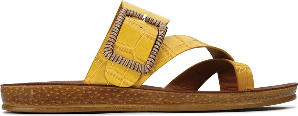 Brios Tuscan Sun Croc