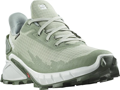 W Alphacross 4 Gore-tex Sage