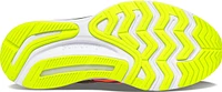 Guide 14 Vizi Pro