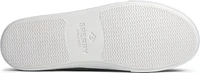 Bahama II SW Navy