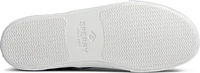 Striper II Cvo Black