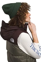 Women's 1996 Retro Nuptse Vest New Taupe/Coal Brown