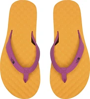 W Base Camp Mini II Purple Catus Flower Summit Gold
