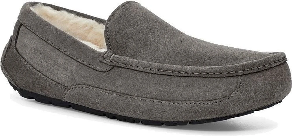 Ascot Grey