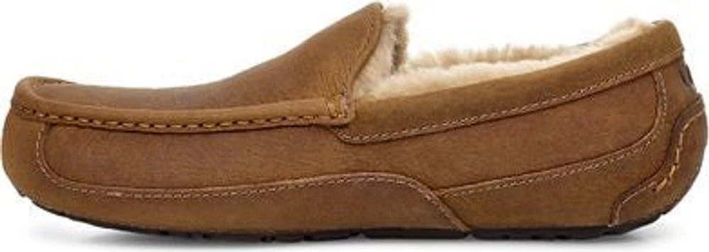 Ascot Tan