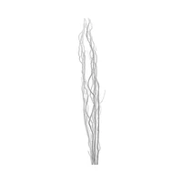 Branches