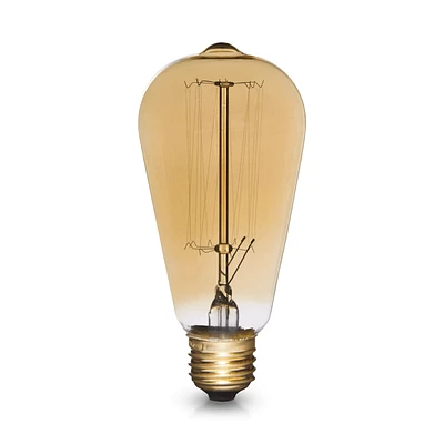 Vintage Edison Light Bulb