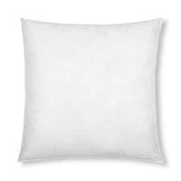 Pillow Insert