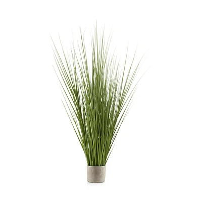 Tall Grass in Cement Pot