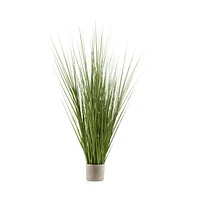 Tall Grass in Cement Pot