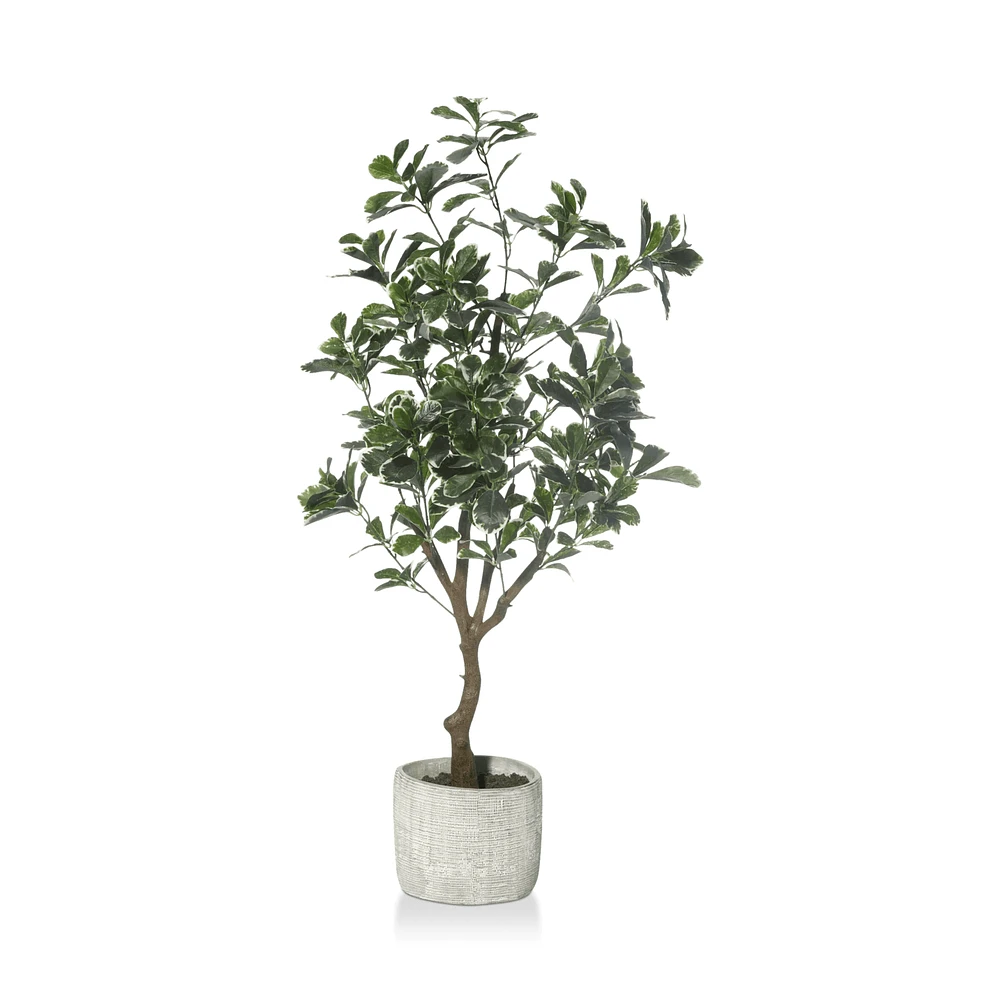 Large Artificial Aralia Tree