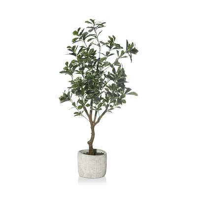 Large Artificial Aralia Tree