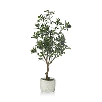Large Artificial Aralia Tree