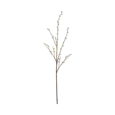 Pussy Willow Stem