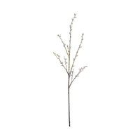 Pussy Willow Stem