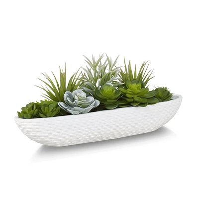 Succulents in Cement Tray