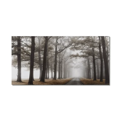Mystical Pathway Printed Canvas