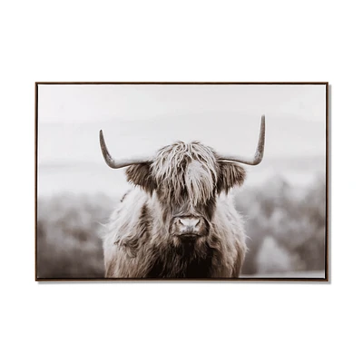 Furry Highland Cow Framed Art
