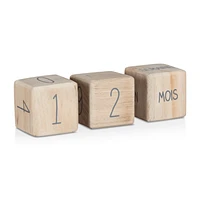 French Age Blocs