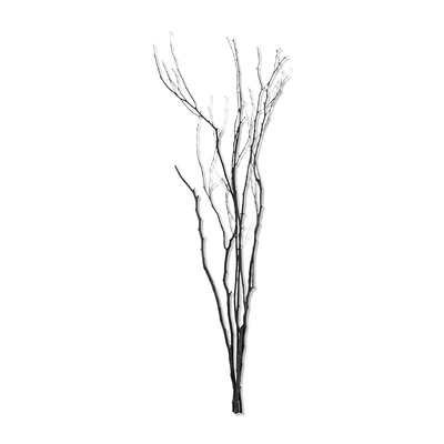 Branches
