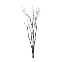 Branches