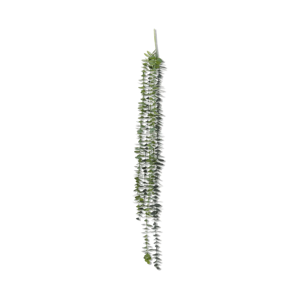 Hanging Eucalyptus