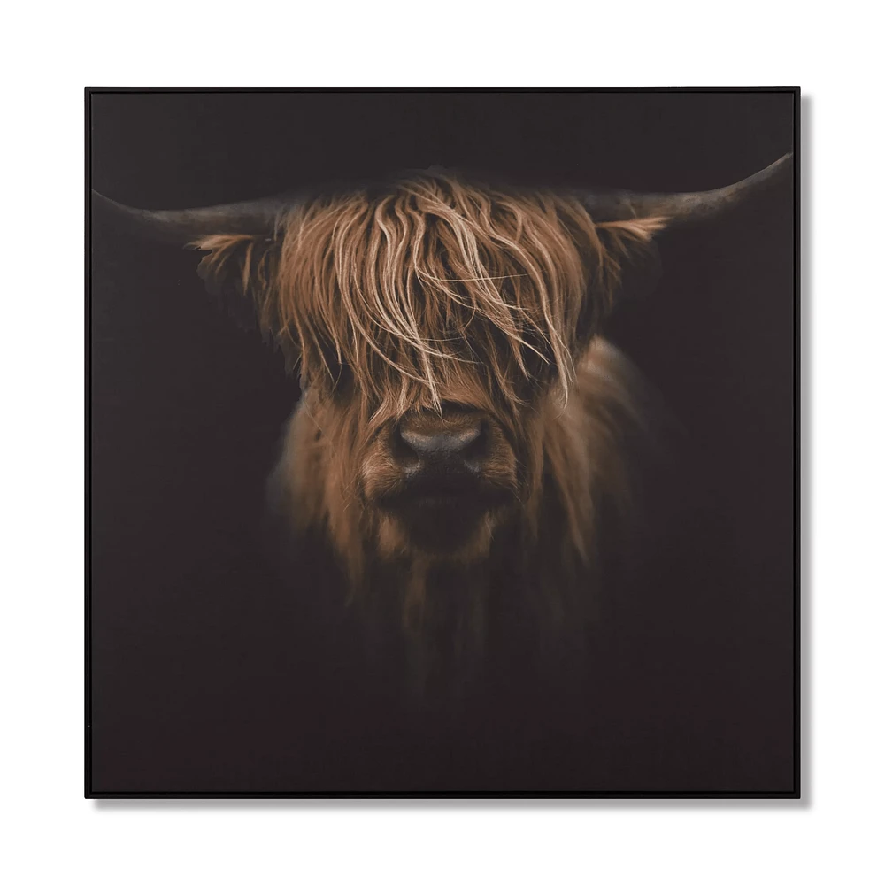 Scottish Highland Cattle Framed Printed Canvas