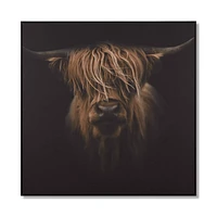 Scottish Highland Cattle Framed Printed Canvas