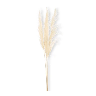 Natural Pampas Stem