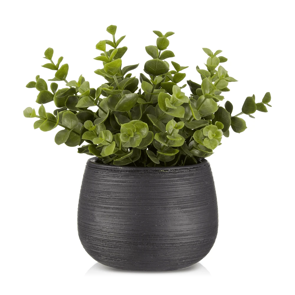 Artificial Plant in Striped Pot