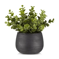 Artificial Plant in Striped Pot