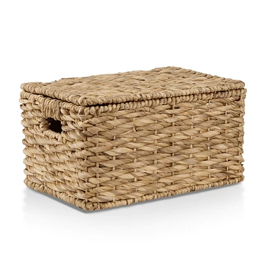 Water Hyacinth Storage Trunk