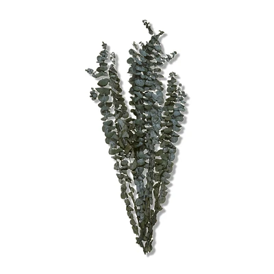 Dried Eucalyptus Bouquet