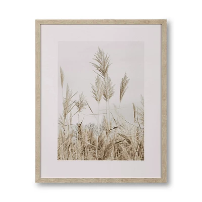 Pampas on Beach Framed Canvas
