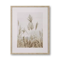 Pampas on Beach Framed Canvas