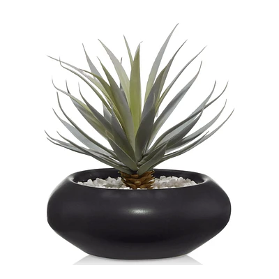 Ceramic Potted Greenery