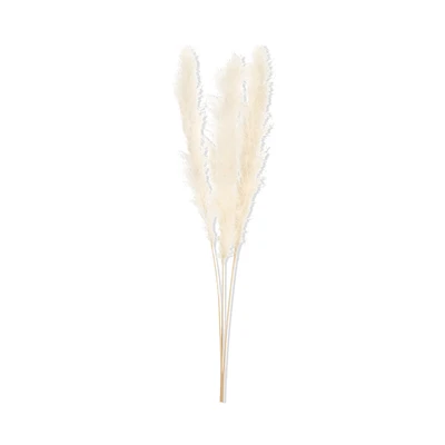 Tall Pampas Stem 150 cm