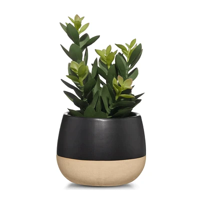 Artificial Plant in Colour-Block Pot