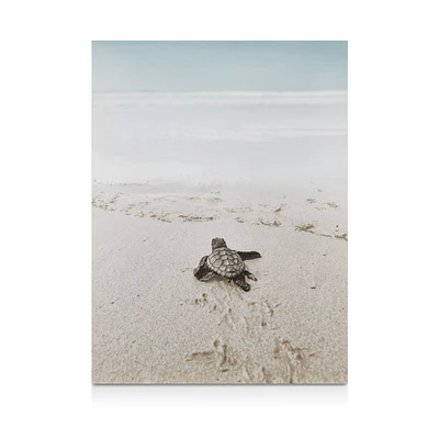 Baby Turtle on Beach Printed Canvas