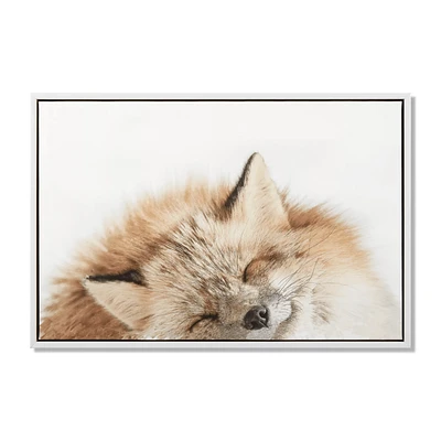 Sleeping Fox Framed Canvas