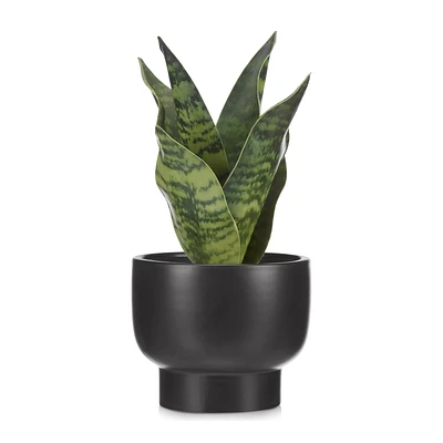 Artificial Plant in Black Matte Ceramic Pot