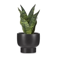 Artificial Plant in Black Matte Ceramic Pot