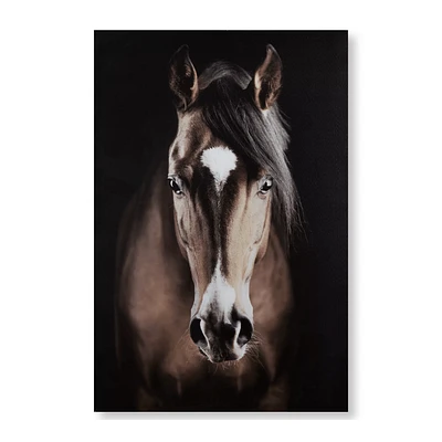 Brown Horse Printed Canvas