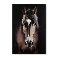 Brown Horse Printed Canvas