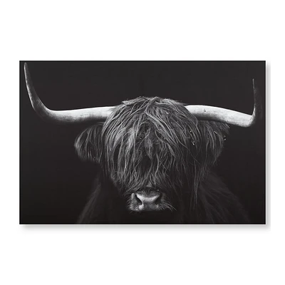Black & White Highland Cow Printed Canvas